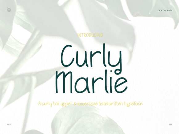 Curly Marlie: A Minimal Handwritten Font for Campaign Design