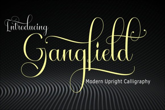 Gangfield: Elevating Digital Brand Identity with a Handwritten Script Typeface