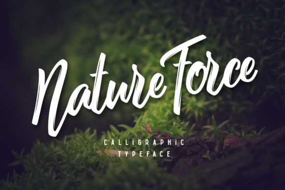 Nature Force: The Brushed Script Font for Authentic Campaign Design