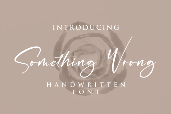 Something Wrong: A Premium Script Font for Polished Brand Identity