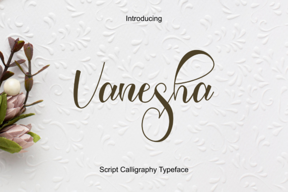 Vanesha: A Handwritten Script Font for Modern Web Design